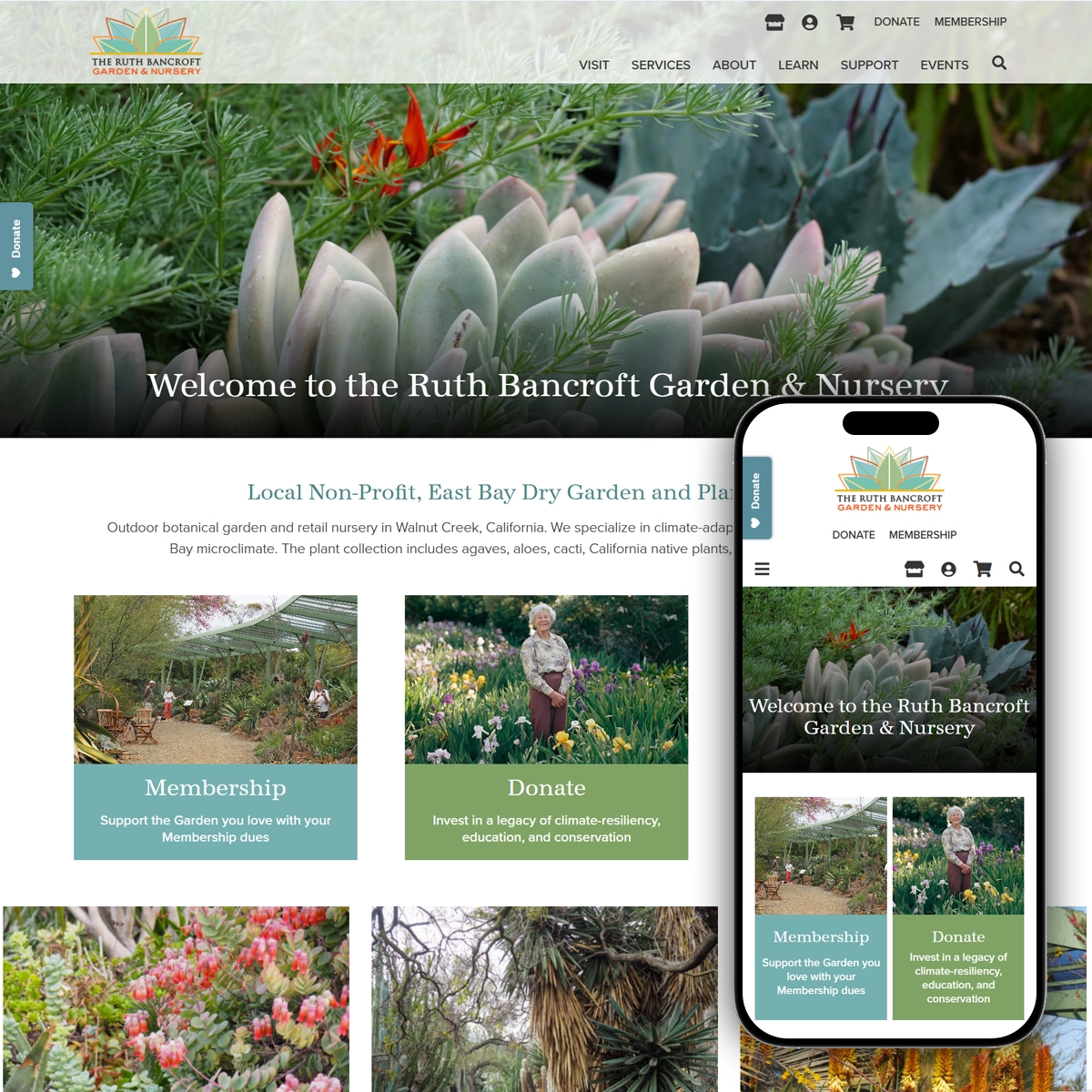 Ruth Bancroft Garden & Nursery